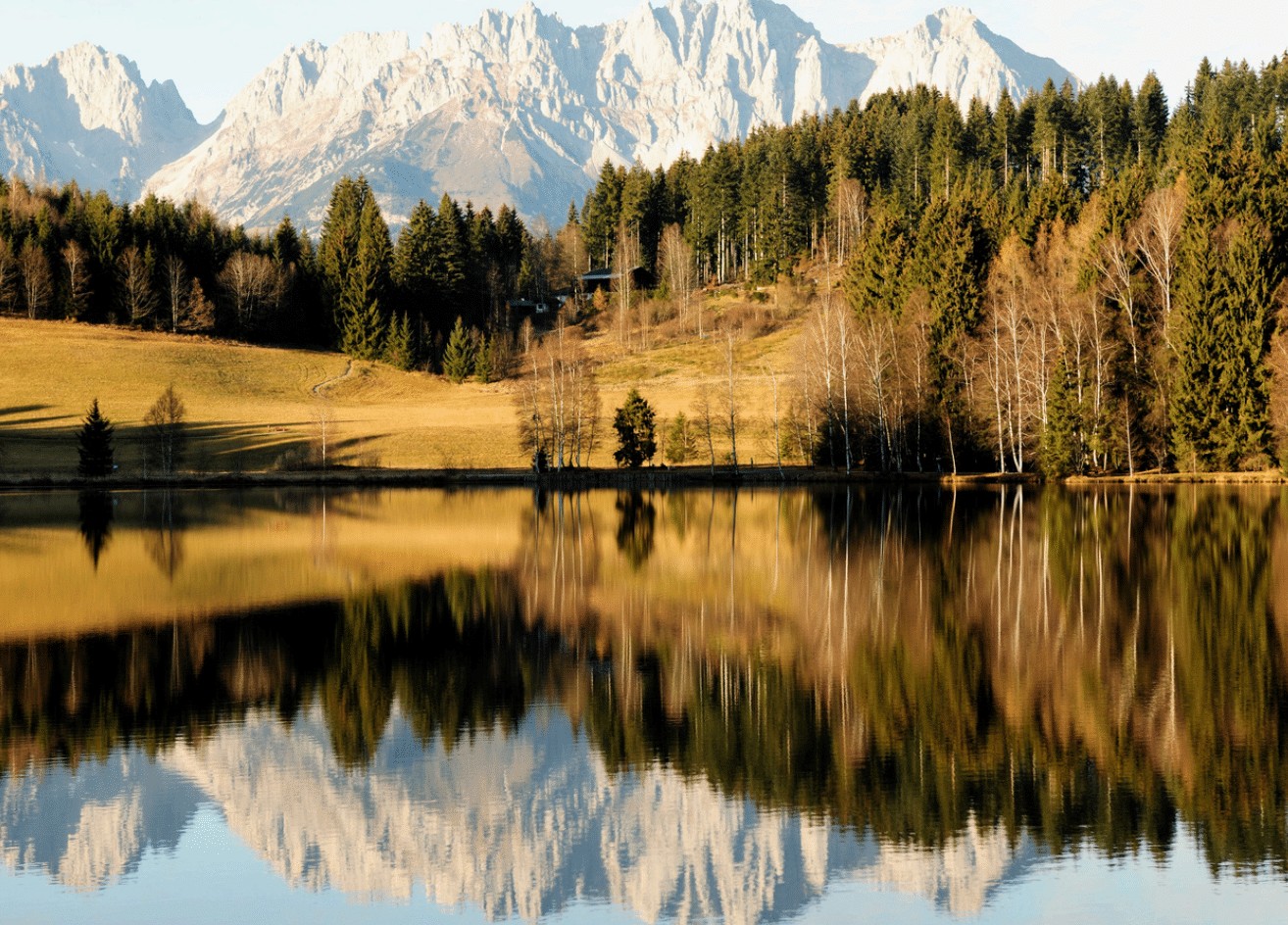 alpine-garden-ii-at1092a-14