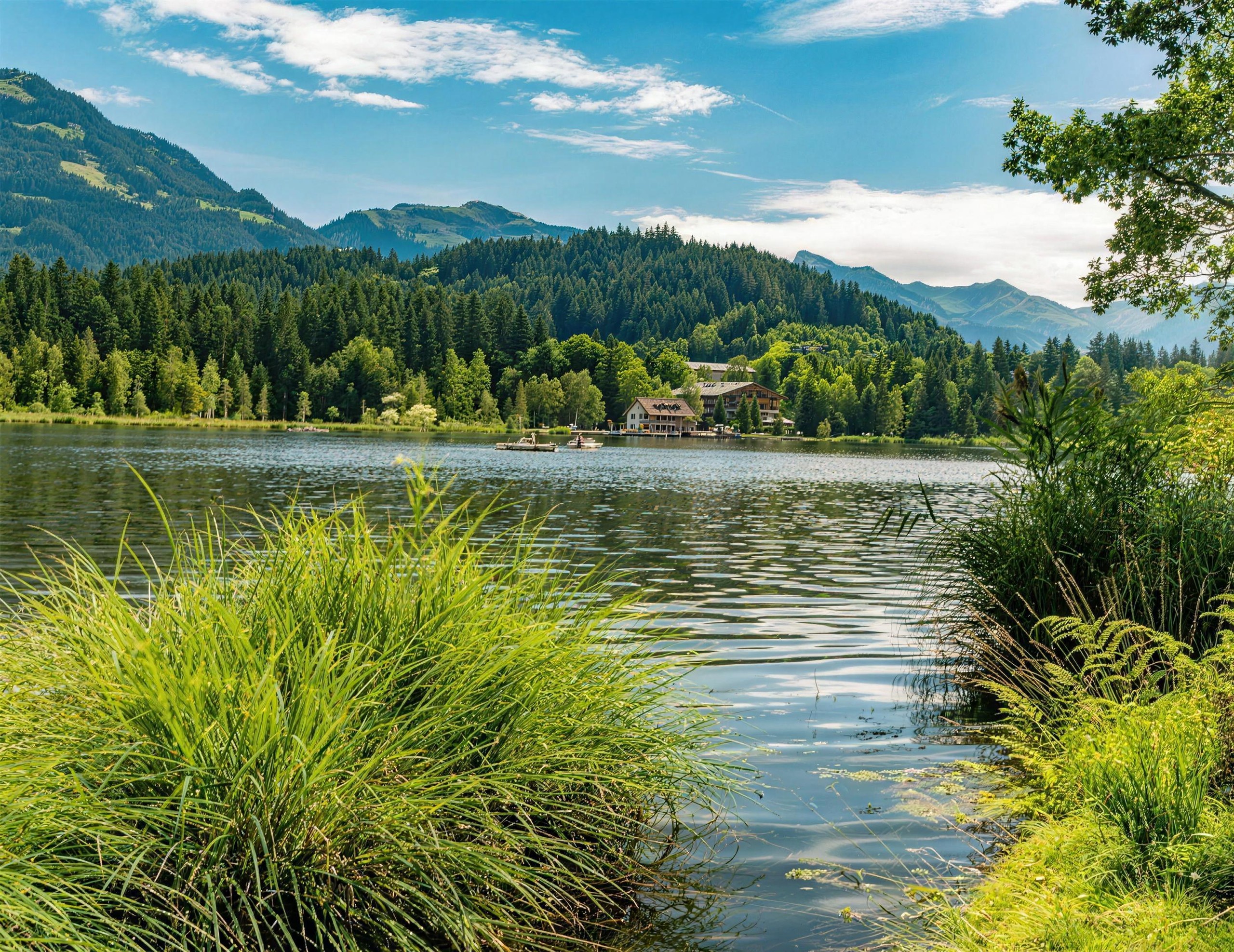 alpine-garden-ii-at1092a-15