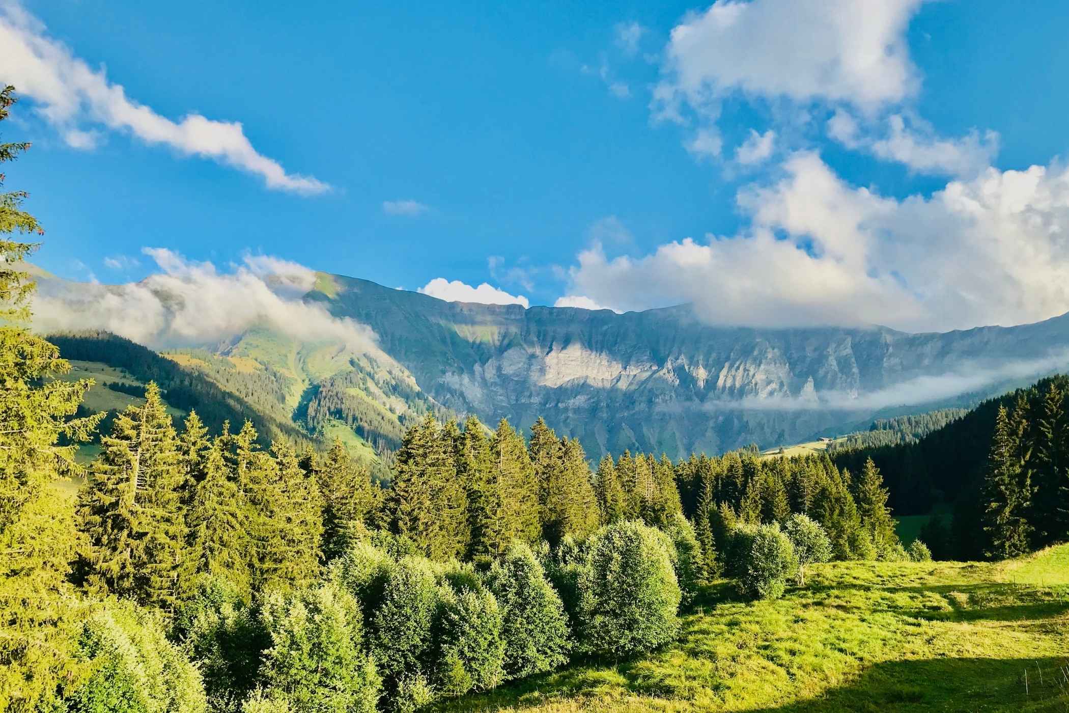 jardin-combloux-fr1186a-09 Combloux — green hills and alpine meadows in summer