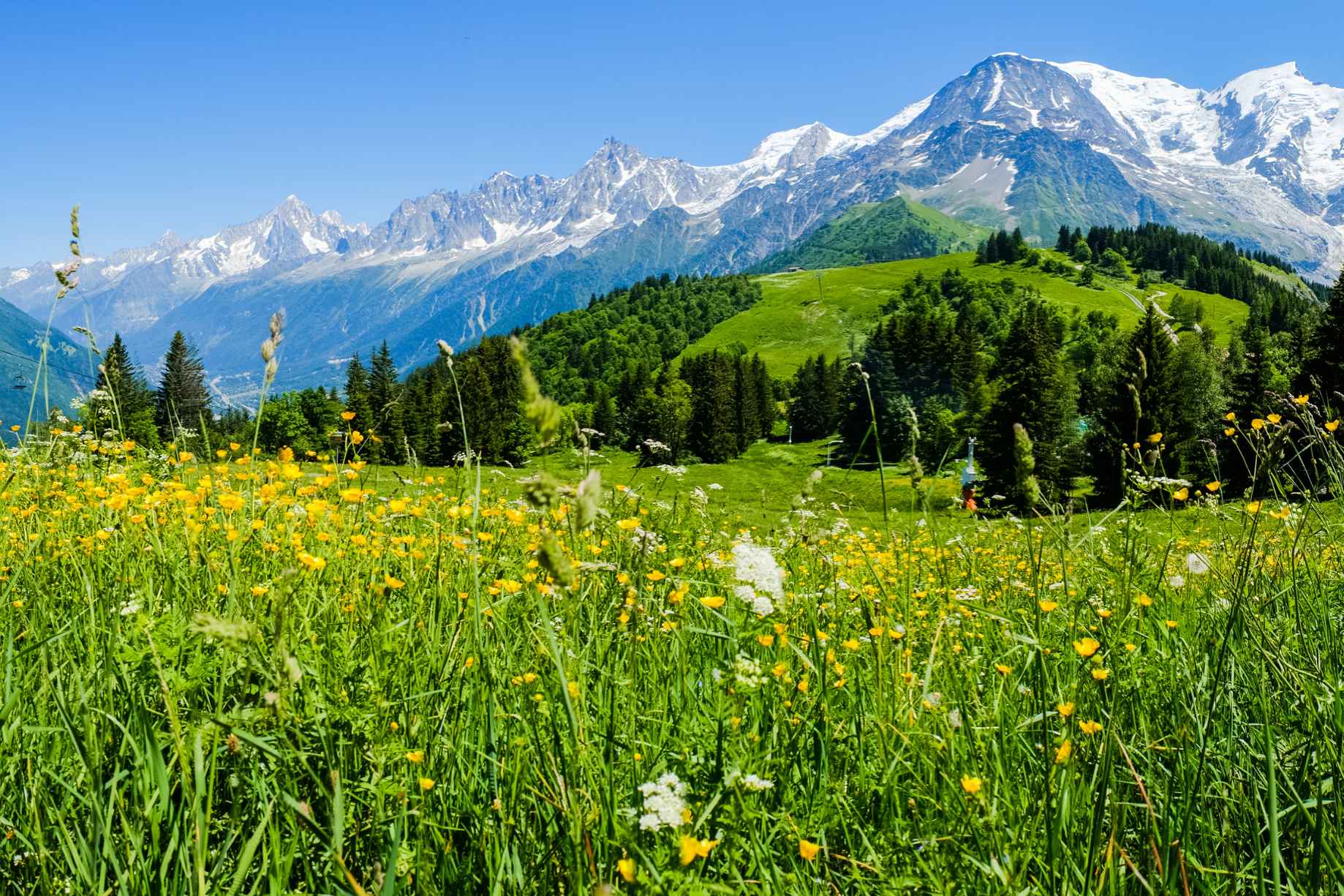 jardin-combloux-fr1186a-12 Combloux — alpine meadow with Mont Blanc in the background